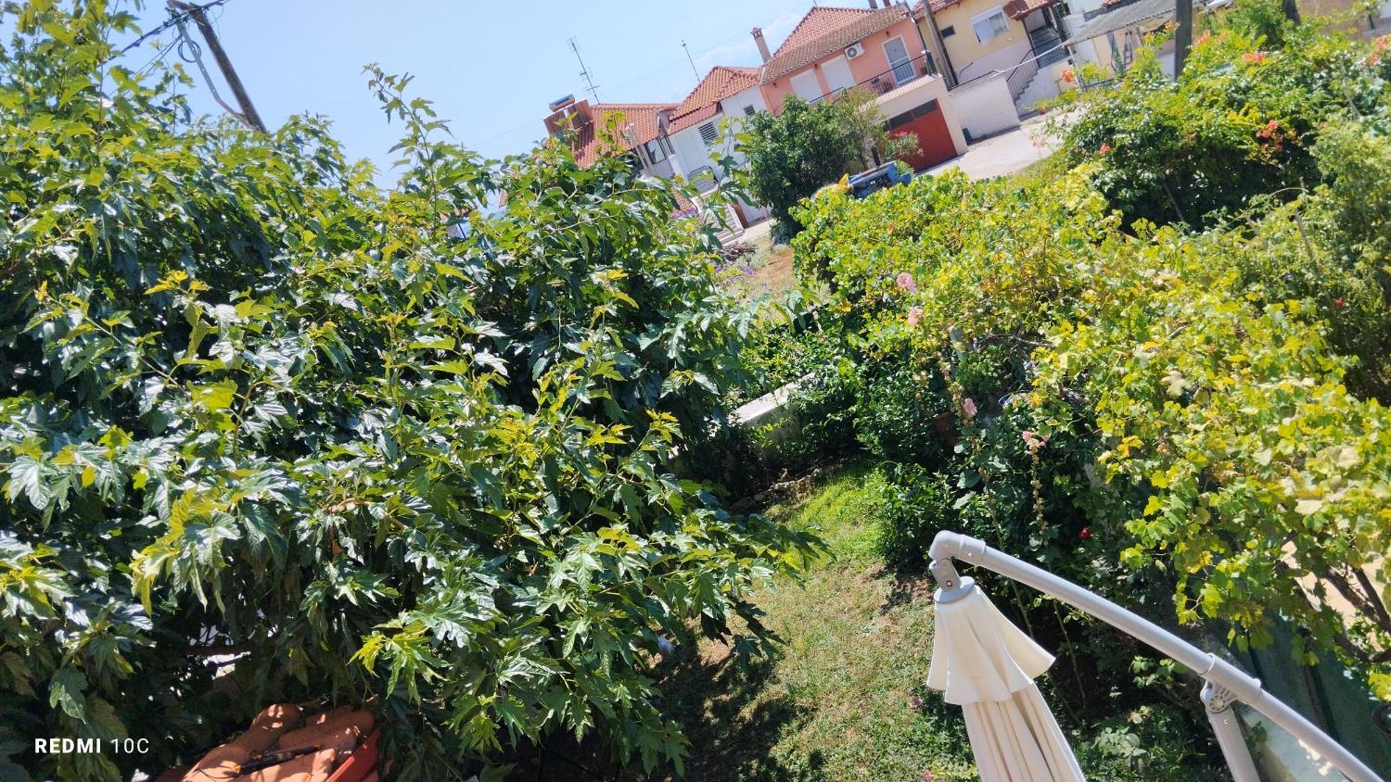In Chalkidiki,