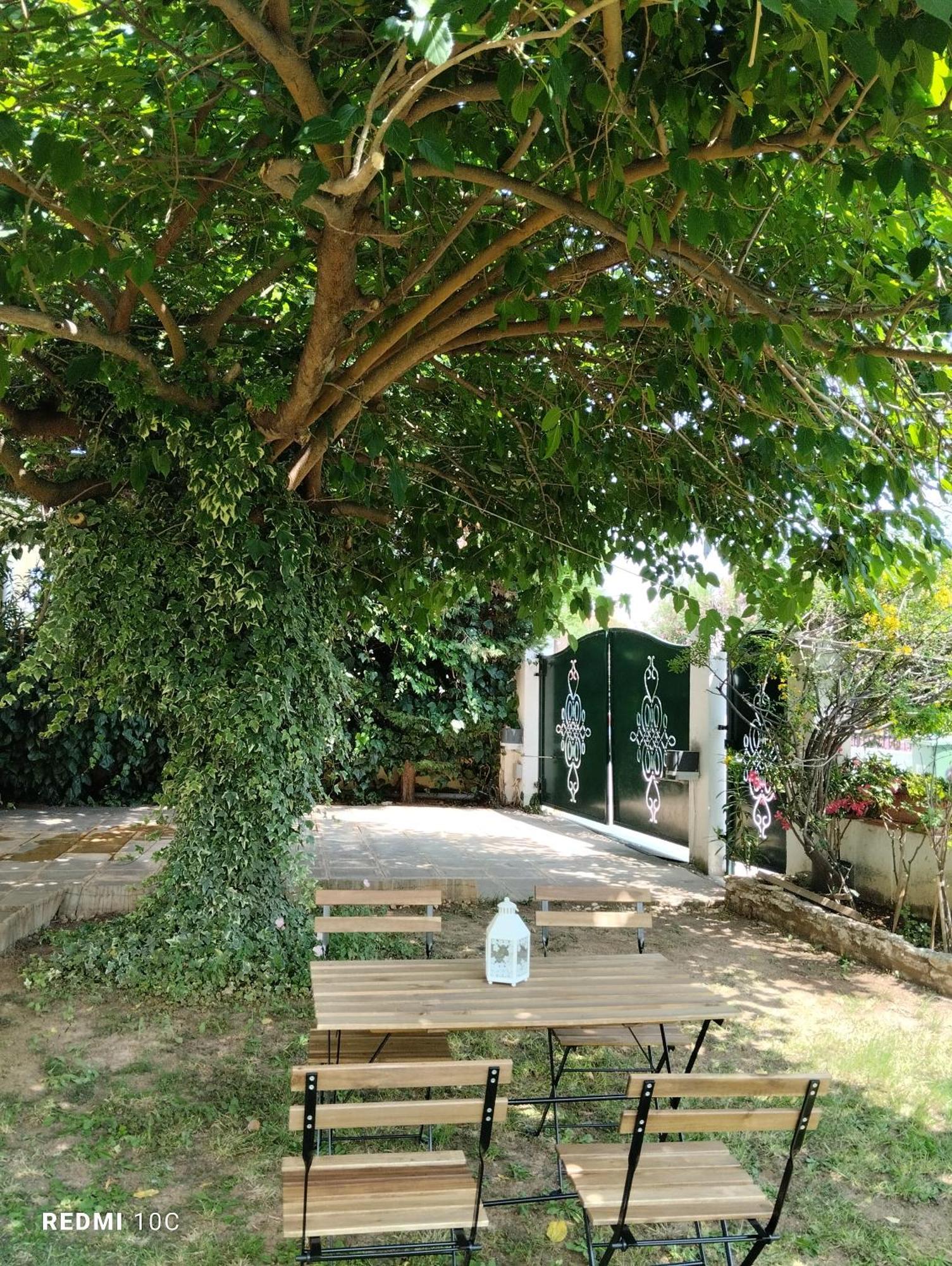 In Chalkidiki, Lakkoma (Nea Propontida)