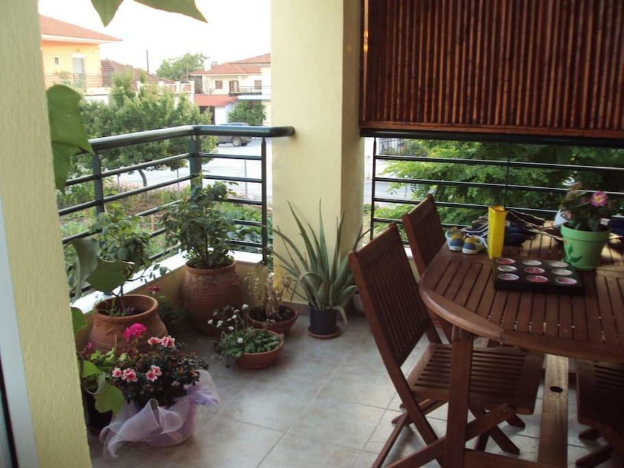 In Chalkidiki, Holiday home *