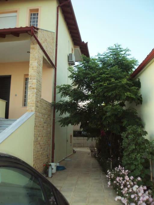 In Chalkidiki, Lakkoma * Nea Kallikrateia