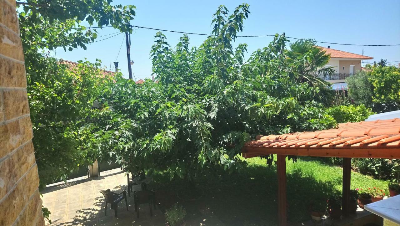 In Chalkidiki, Lakkoma *