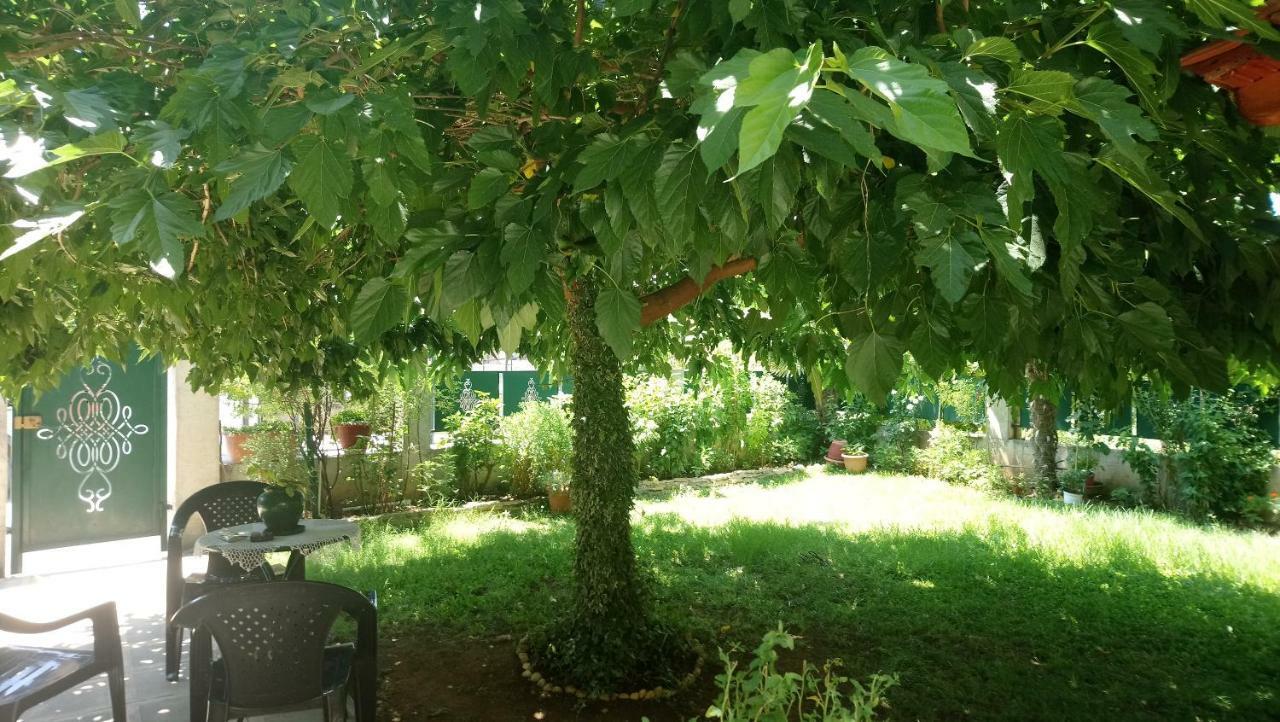 In Chalkidiki, Lakkoma Dom wakacyjny Nea Kallikrateia